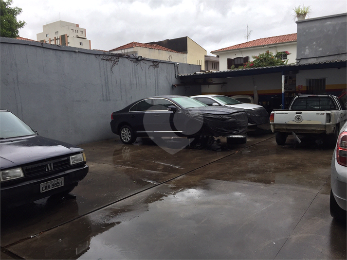 Foto REO518838