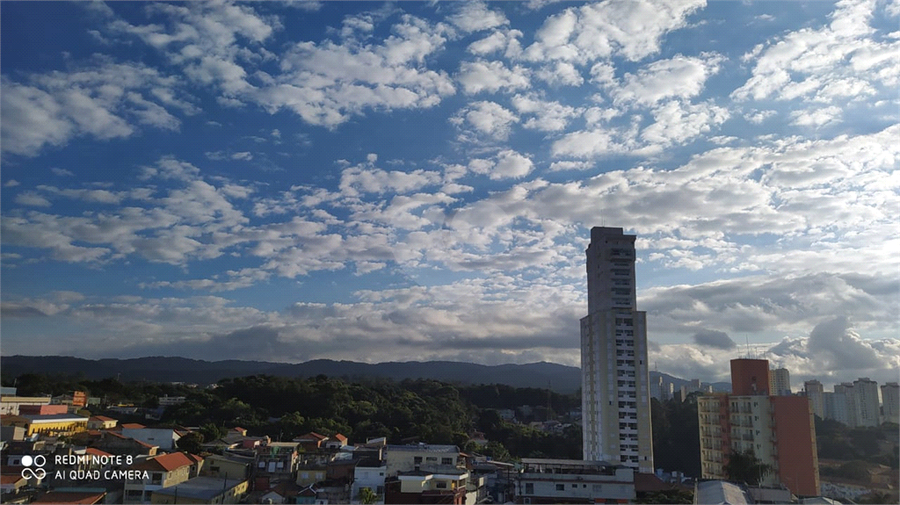Foto REO518949