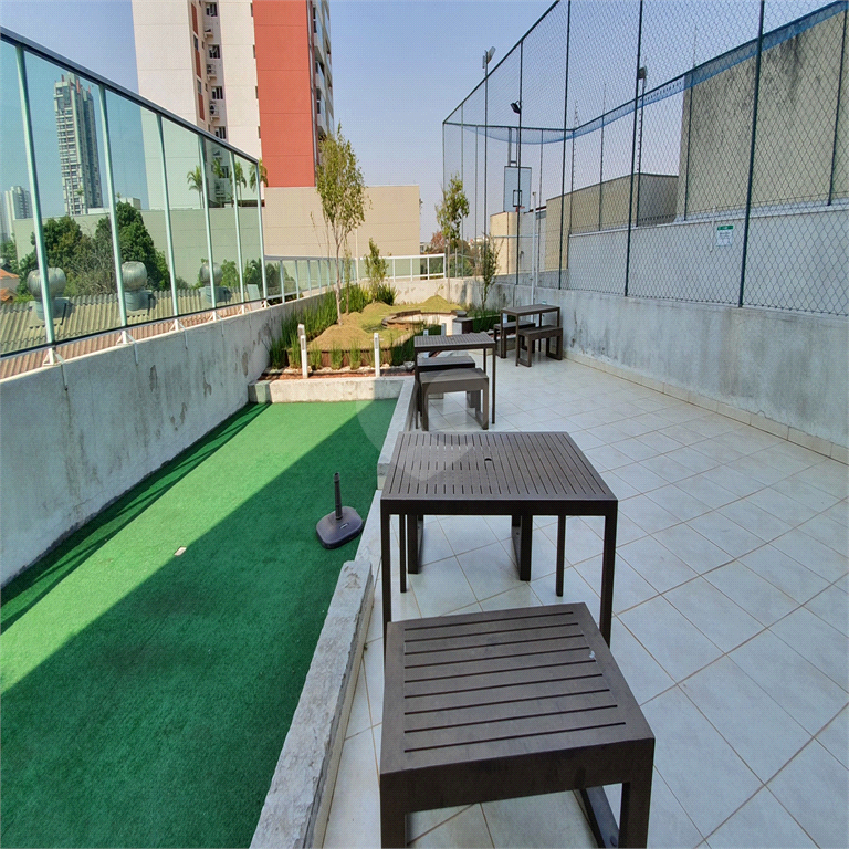 Foto REO519037