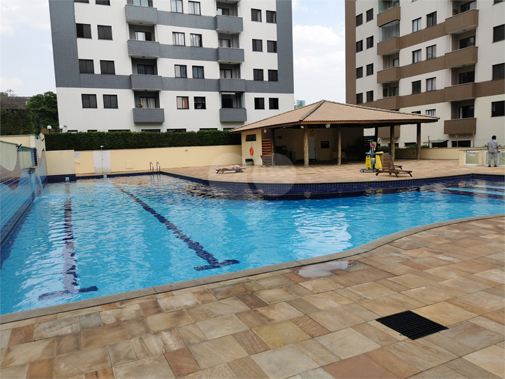 Apartamento Quartos Venda Jardim Do Lago Campinas Lopes