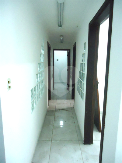Foto REO519463
