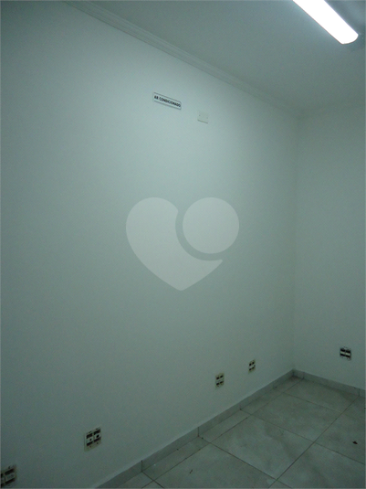 Foto REO519463