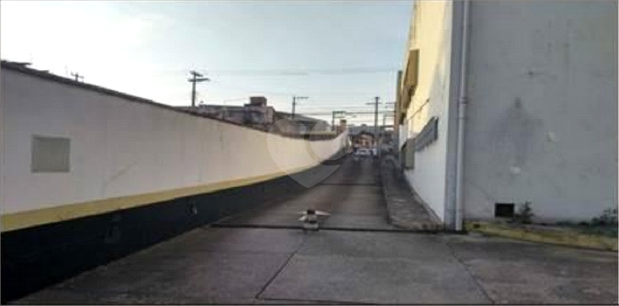 Foto REO519574