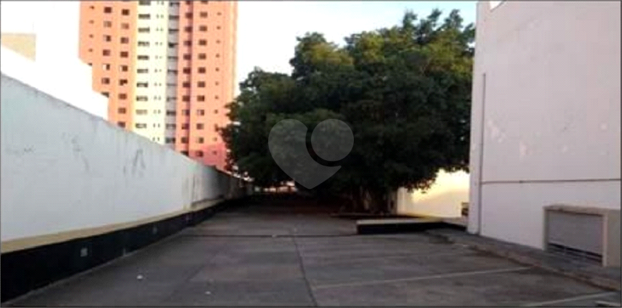 Foto REO519581