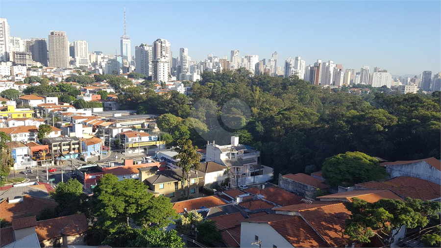 Foto REO520467