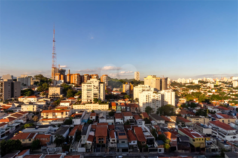 Foto REO520777