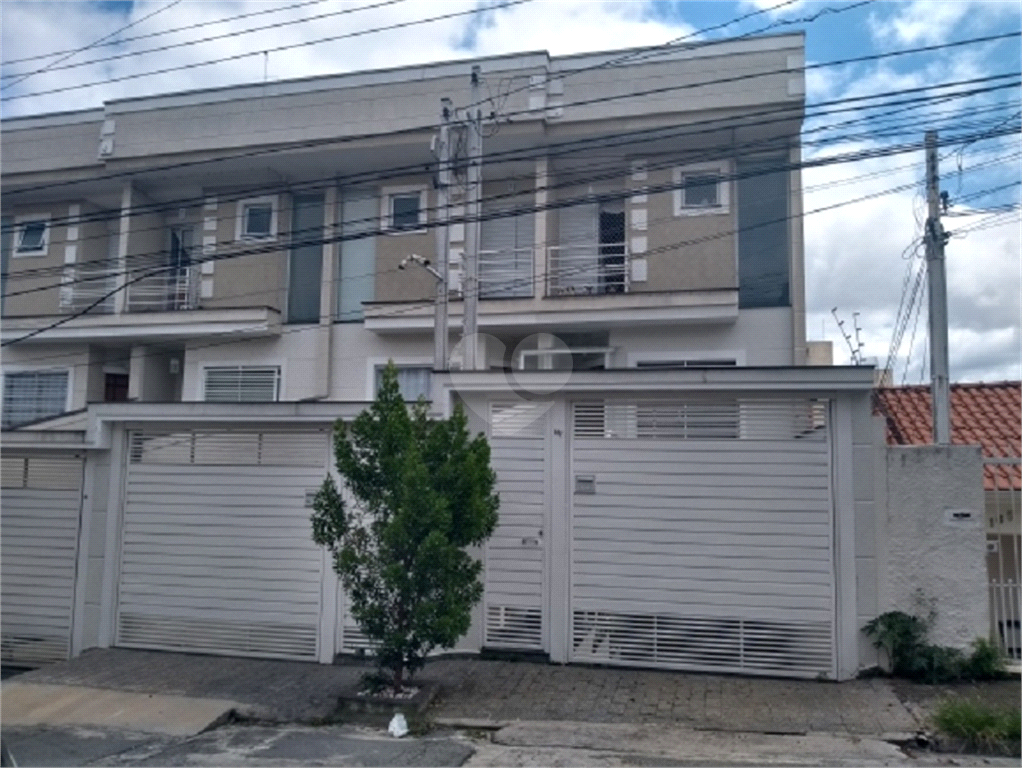 Foto REO520794
