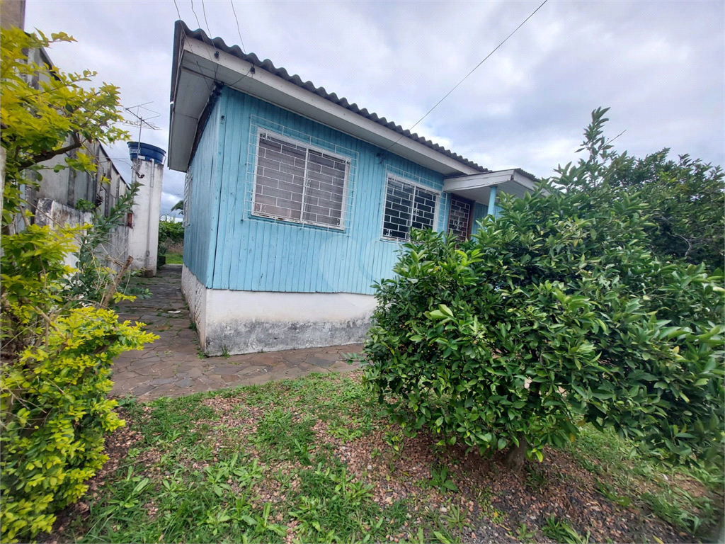 Venda Terreno Cachoeirinha Vila Eunice Velha REO521250 7