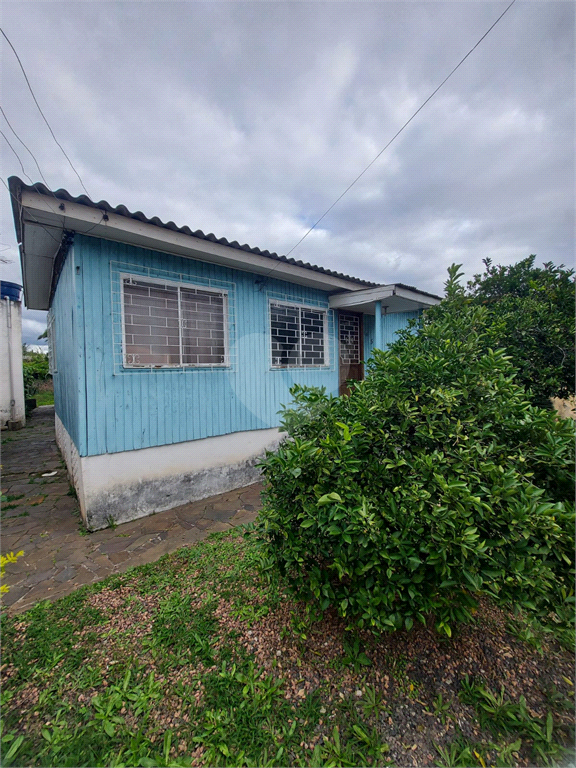 Venda Terreno Cachoeirinha Vila Eunice Velha REO521250 12