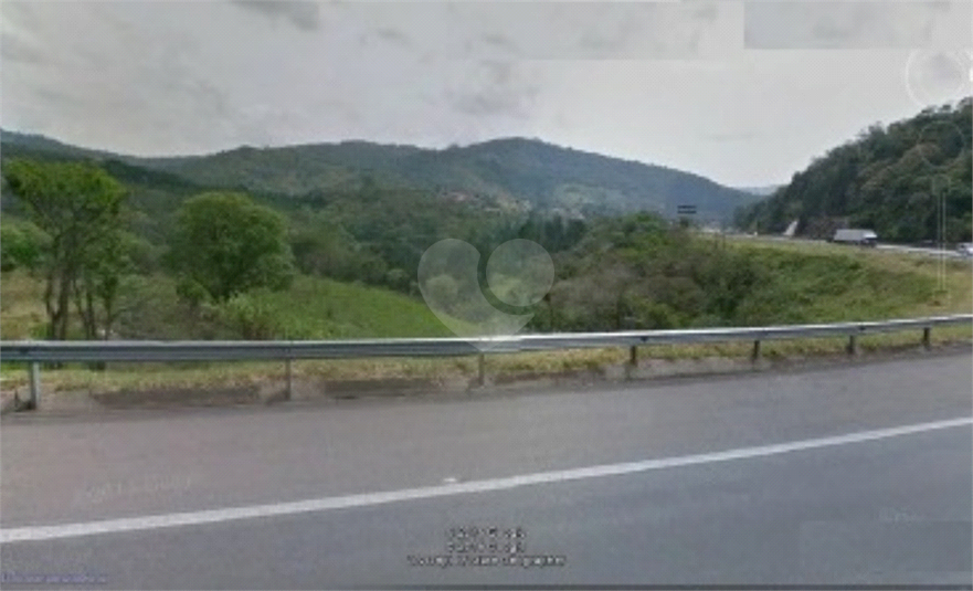 Foto REO521588
