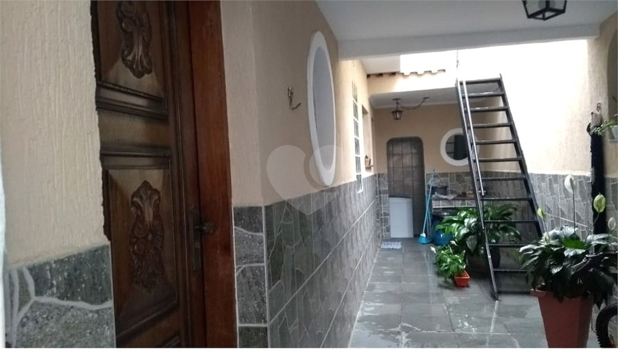Foto REO521597