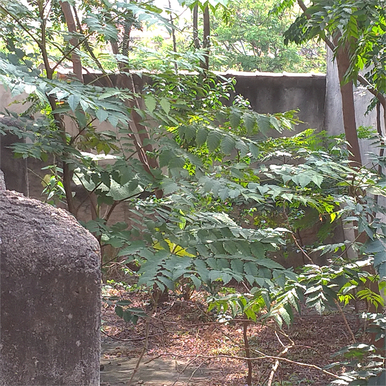 Venda Terreno São Paulo Casa Verde REO522135 3