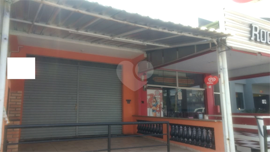 Foto REO522466