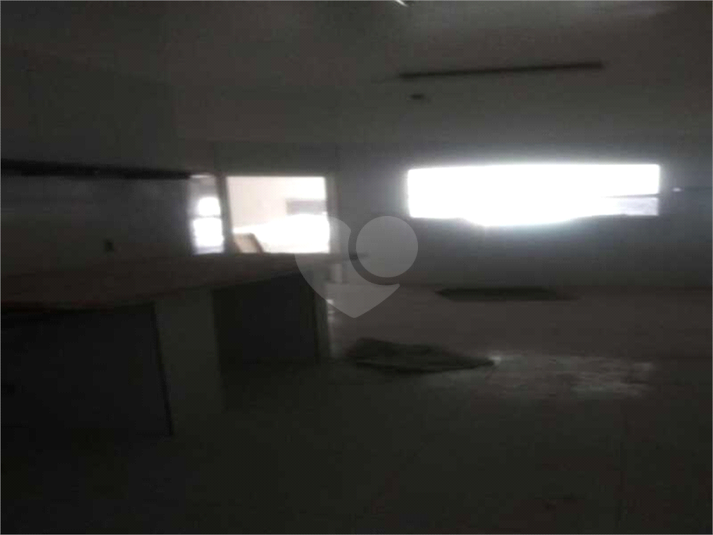 Foto REO522466