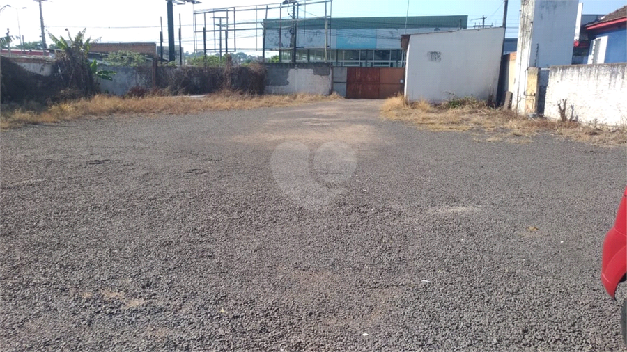 Foto REO522938