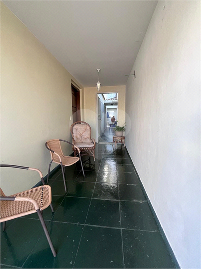 Foto REO523549