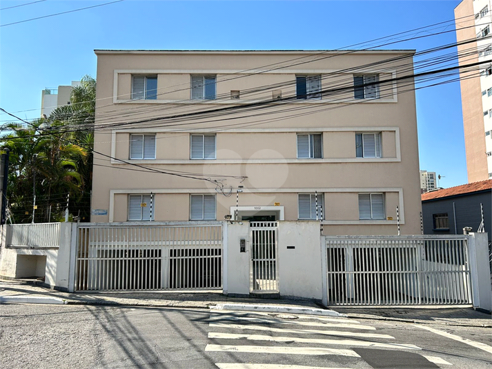 Foto REO523625