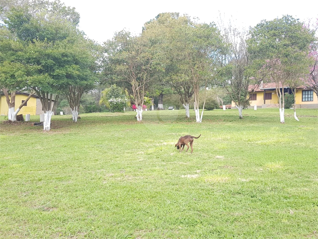 Venda Sítio Taquara Área Rural De Taquara REO523646 5