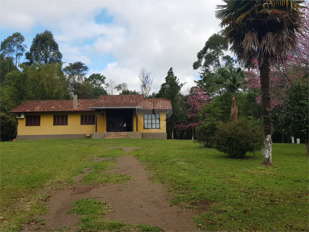 Venda Sítio Taquara Área Rural De Taquara REO523646 1