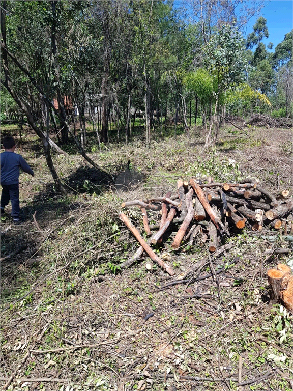 Venda Sítio Taquara Área Rural De Taquara REO523646 10