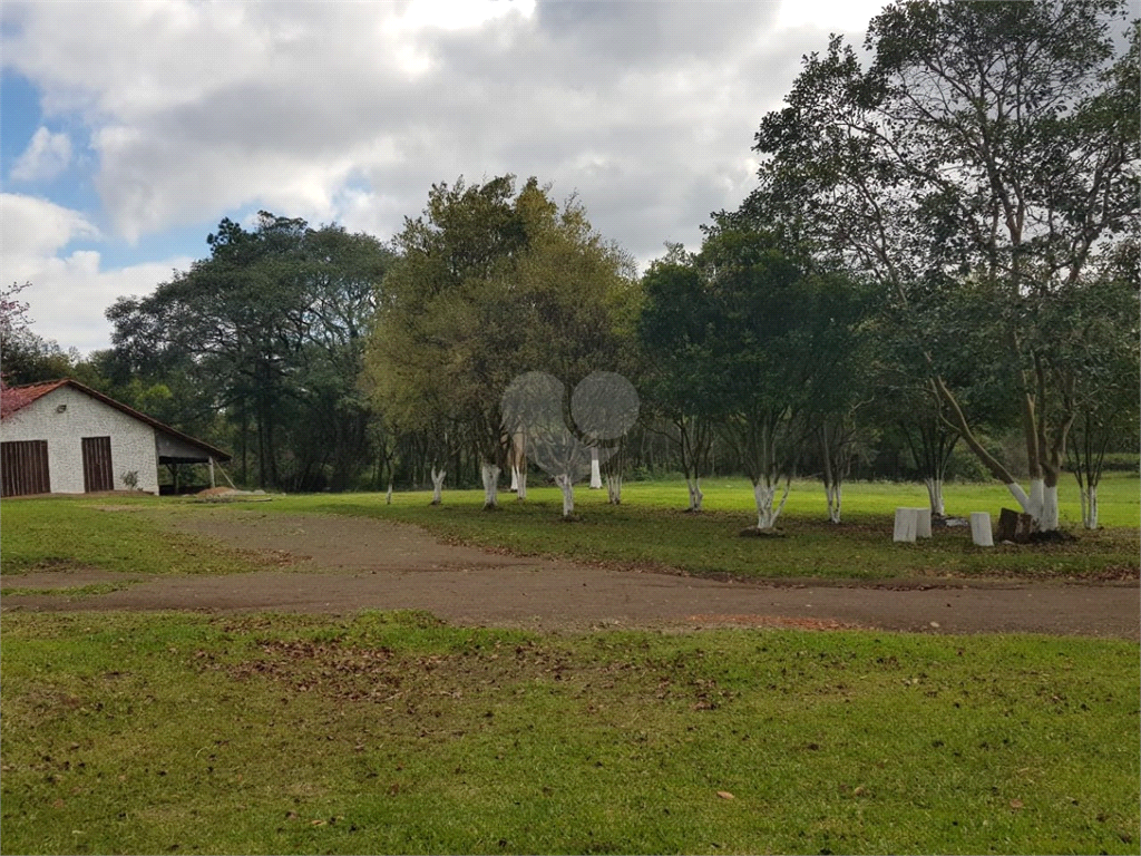 Venda Sítio Taquara Área Rural De Taquara REO523646 11