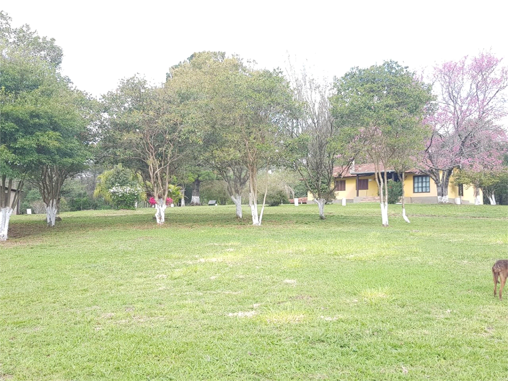 Venda Sítio Taquara Área Rural De Taquara REO523646 4