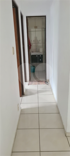 Foto REO523760