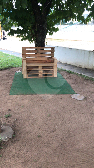 Foto REO523760