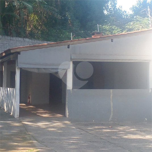 Foto REO523760