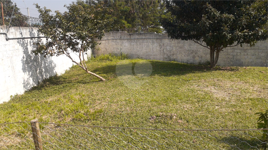Foto REO523760