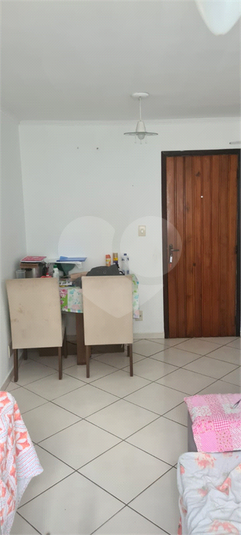 Foto REO523760