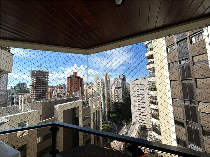 Foto REO524067