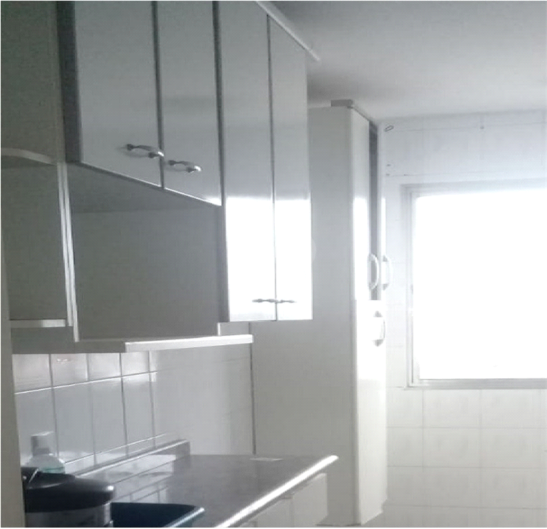 Venda Apartamento São Paulo Vila Robertina REO524078 4