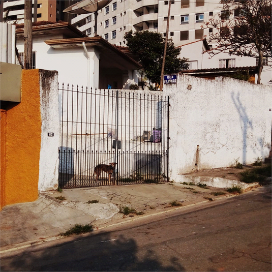 Foto REO525827