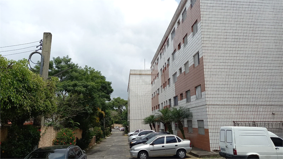 Foto REO52585