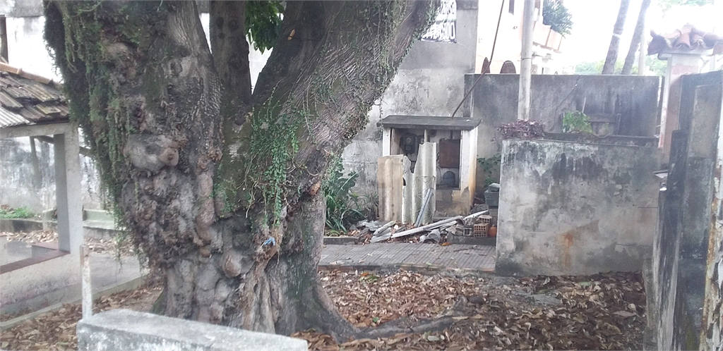 Venda Terreno Rio De Janeiro Penha REO526323 6