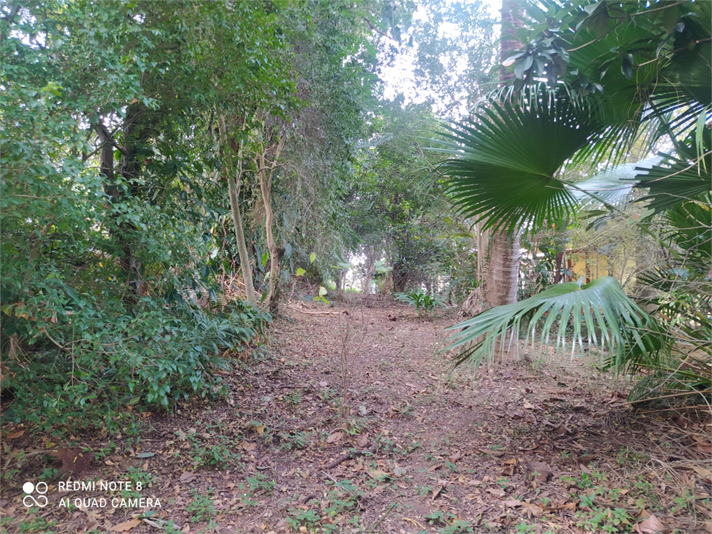 Venda Terreno São Paulo Vila Irmãos Arnoni REO526386 15