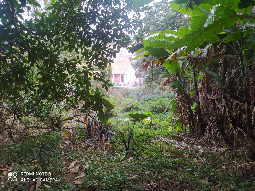 Venda Terreno São Paulo Vila Irmãos Arnoni REO526386 14