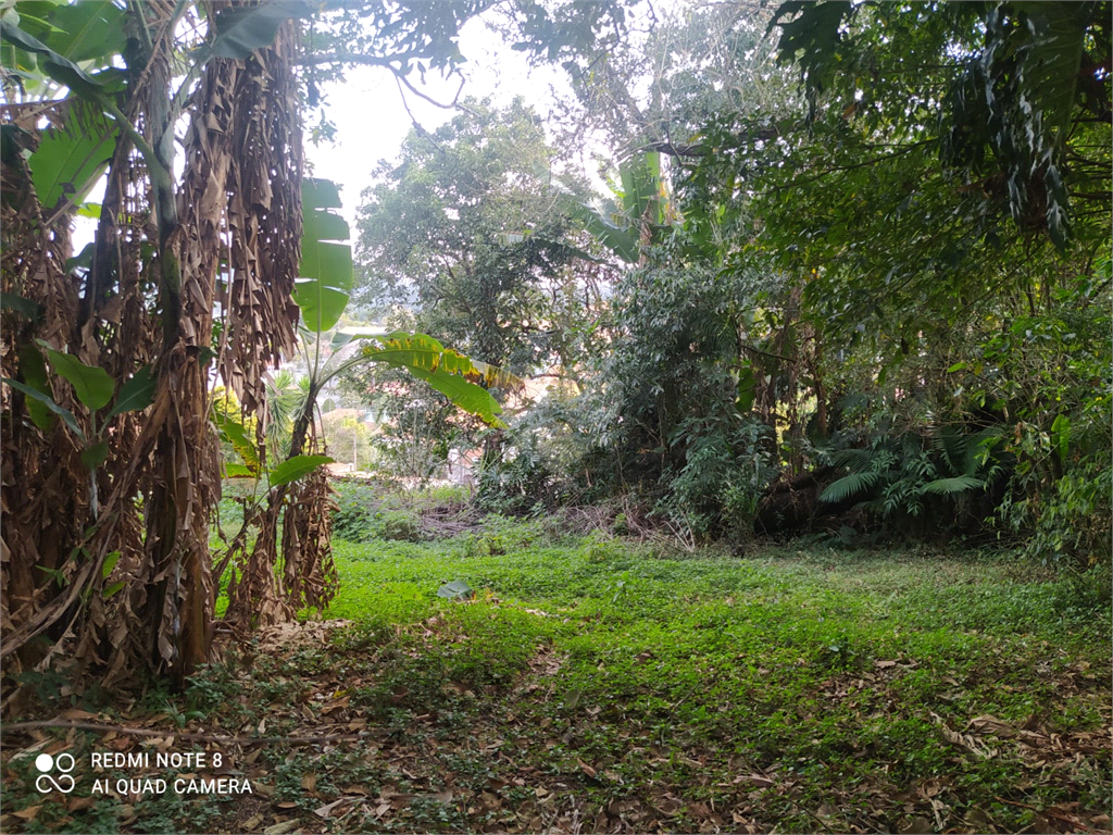 Venda Terreno São Paulo Vila Irmãos Arnoni REO526386 17