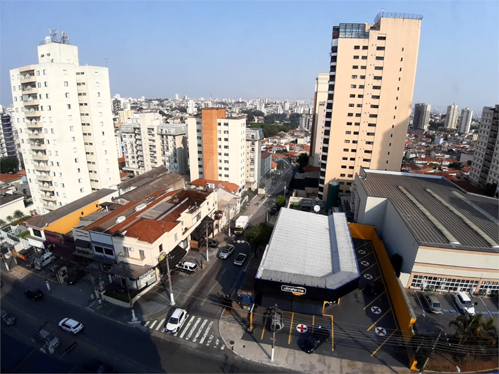 Foto REO526561
