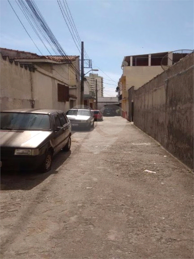 Foto REO526581