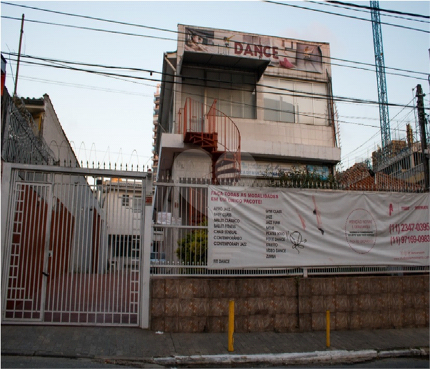 Foto REO526613