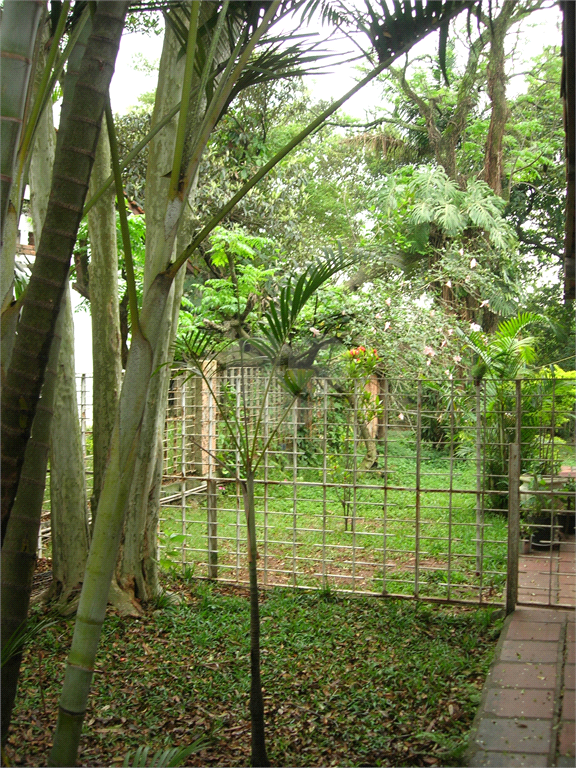 Venda Terreno São Paulo Fazenda Morumbi REO526662 17