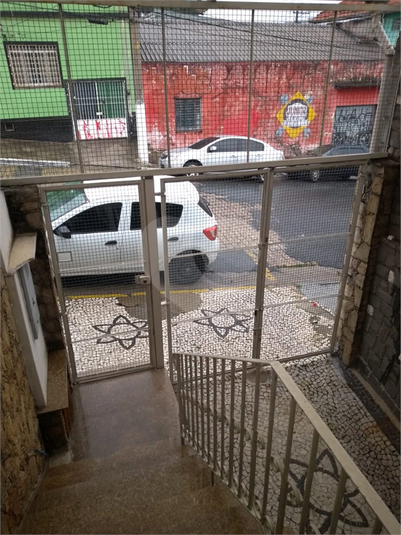 Foto REO526679
