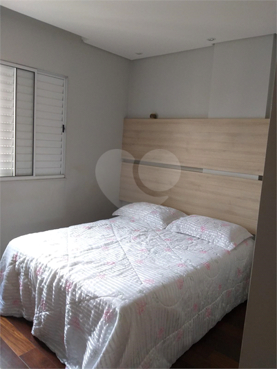 Foto REO526866