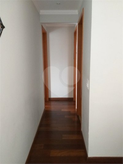 Foto REO526866