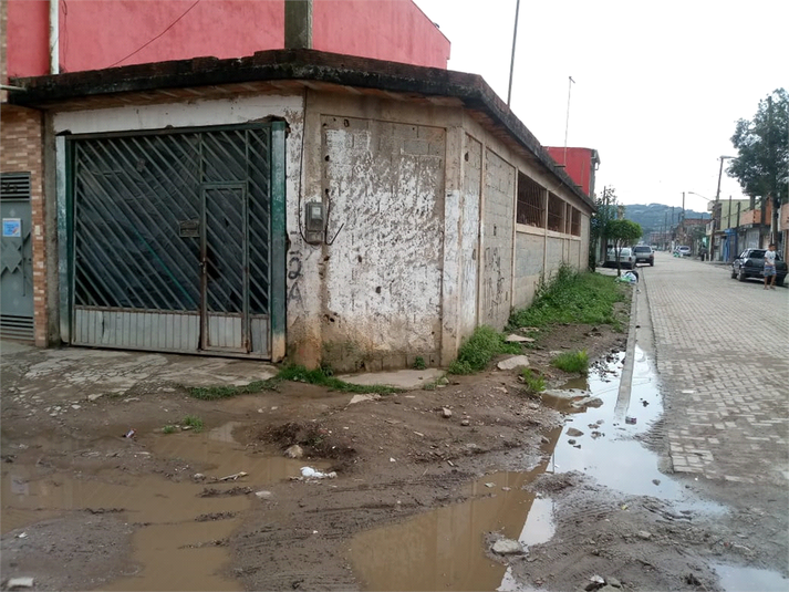 Foto REO526928