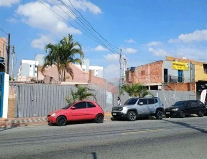 Foto REO526953
