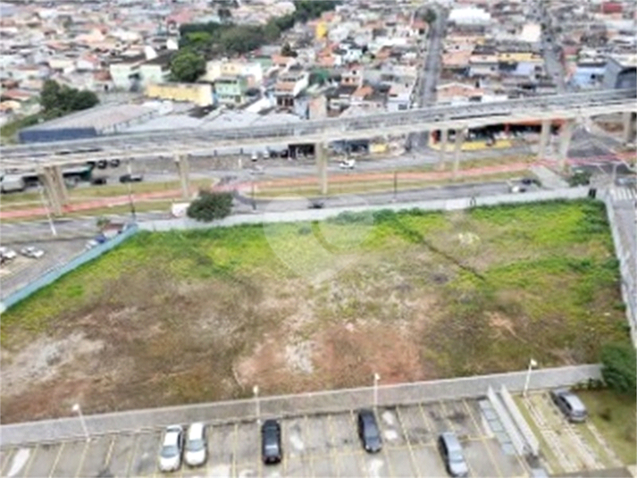 Foto REO526953