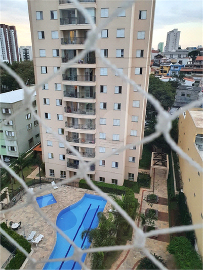 Foto REO527168